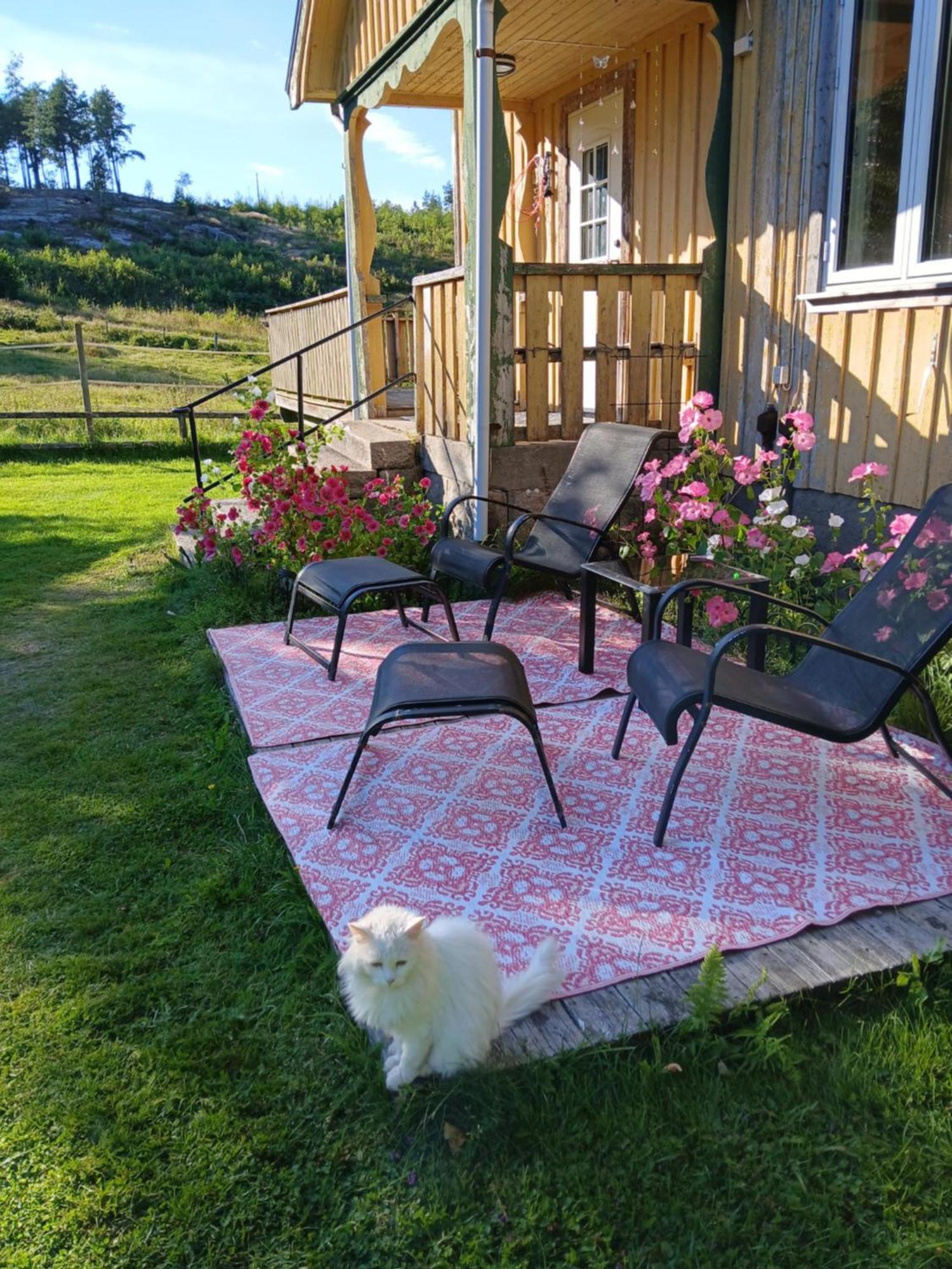 Charmigt Hus Pa Landet Naera Till Bad Strömstad エクステリア 写真